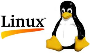pinguin met tekst Linux